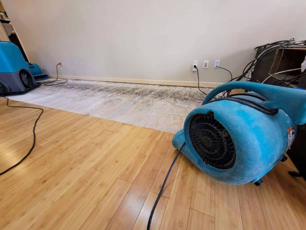 Professional Flood Damage Cleanup technician working in Wellsville, UT